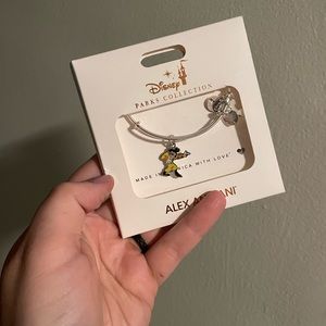 Alex and Ani Max/Powerline